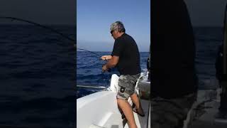 Tuňák - zdolávačka za jízdy