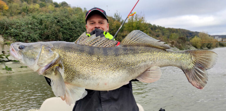 Lov obrovských candátů na řece Seine , France Fishing Adventure