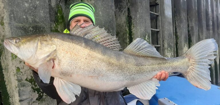 Lov obrovských candátů na řece Seine , France Fishing Adventure