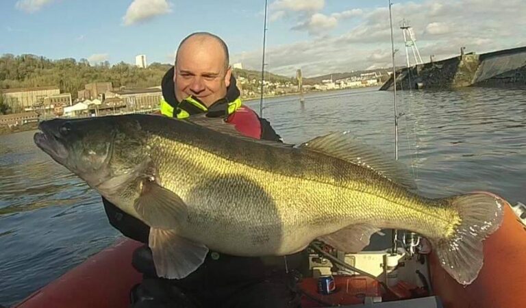 Lov obrovských candátů na řece Seine , France Fishing Adventure