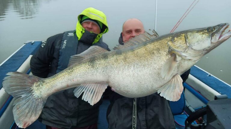Lov obrovských candátů na řece Seine , France Fishing Adventure