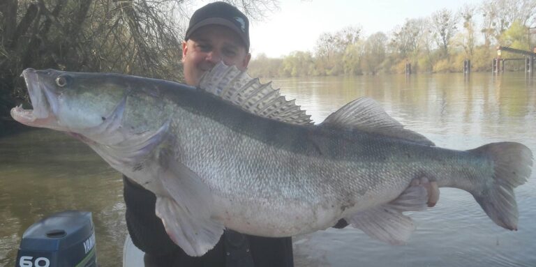 Lov obrovských candátů na řece Seine , France Fishing Adventure