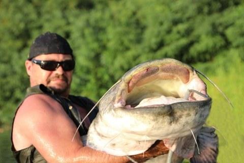 ffa19-kudla-240-final