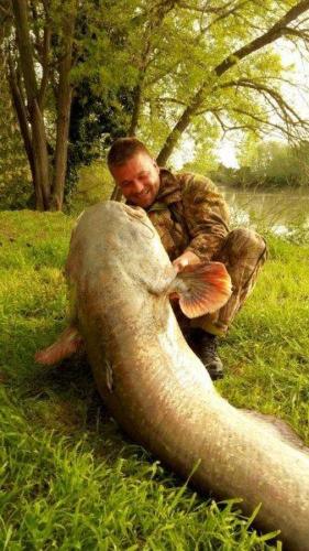 fotogalerie-ffa-00001