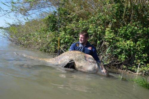 fotogalerie-ffa-00003