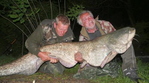 fotogalerie-ffa-00006