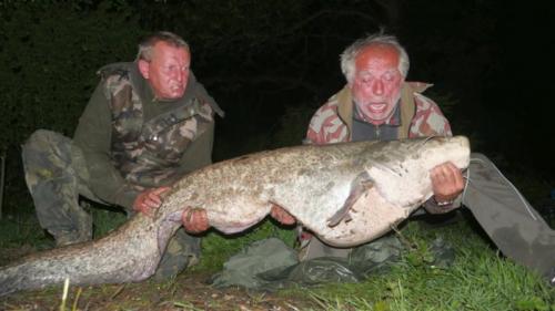 fotogalerie-ffa-00007