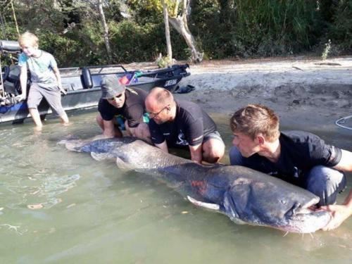 fotogalerie-ffa-00009