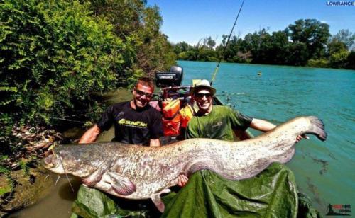 fotogalerie-ffa-00014