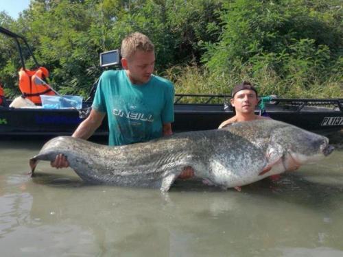 fotogalerie-ffa-00015