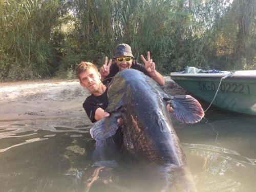 fotogalerie-ffa-00016