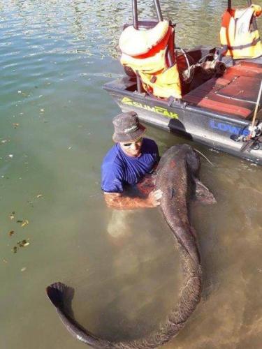 fotogalerie-ffa-00017