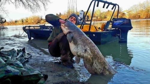 fotogalerie-ffa-00018