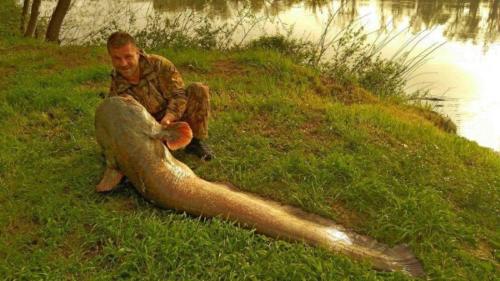 fotogalerie-ffa-00019