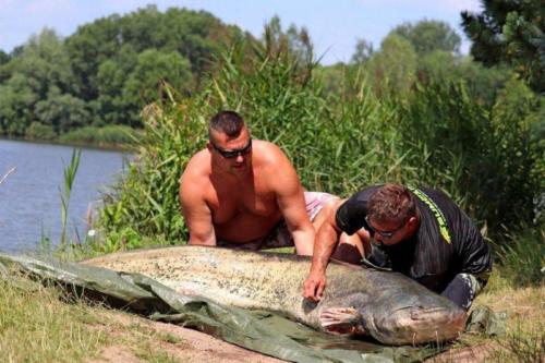 fotogalerie-ffa-00020