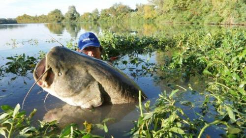 fotogalerie-ffa-00022