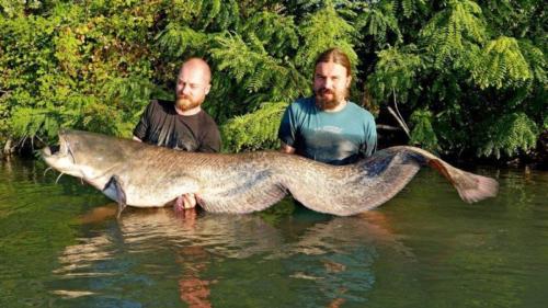 fotogalerie-ffa-00026