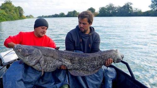 fotogalerie-ffa-00027