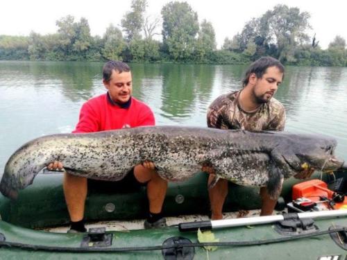 fotogalerie-ffa-00028