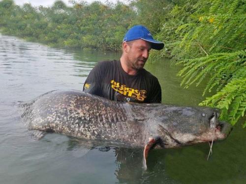 fotogalerie-ffa-00032