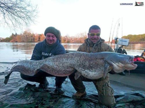 fotogalerie-ffa-00033