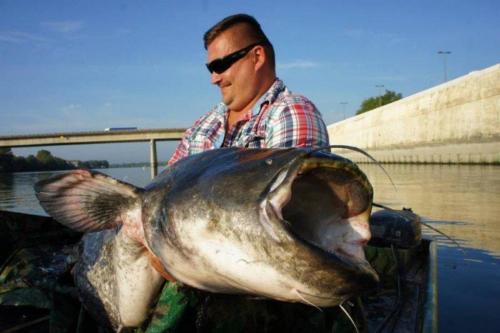 fotogalerie-ffa-00035