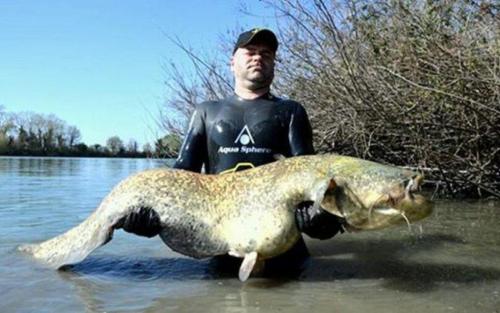 fotogalerie-ffa-00038