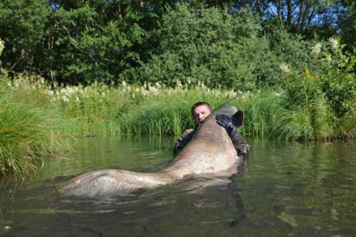 fotogalerie-ffa-00040