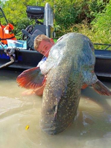 fotogalerie-ffa-00043