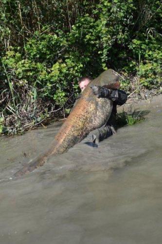 fotogalerie-ffa-00044