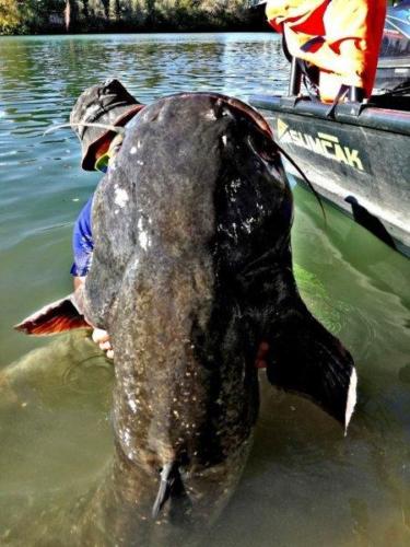 fotogalerie-ffa-00048