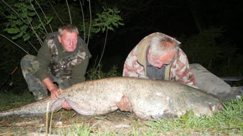 fotogalerie-ffa-00070