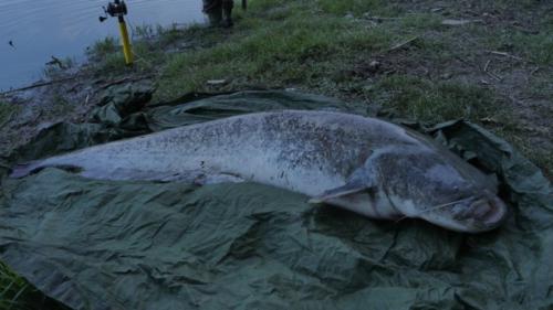 fotogalerie-ffa-00073