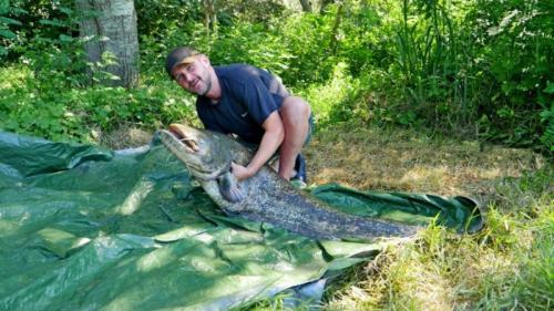 fotogalerie-ffa-00076