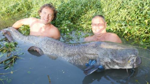 fotogalerie-ffa-00081