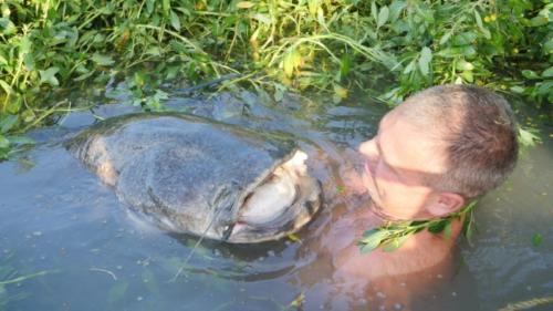 fotogalerie-ffa-00082