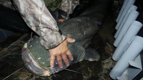 fotogalerie-ffa-00084