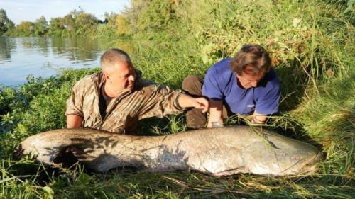 fotogalerie-ffa-00088