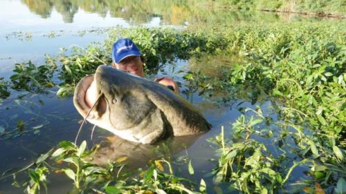 fotogalerie-ffa-00095