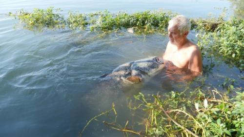 fotogalerie-ffa-00100