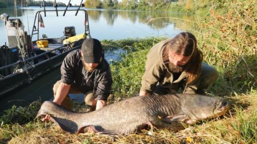 fotogalerie-ffa-00104