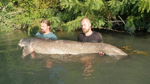 fotogalerie-ffa-00106