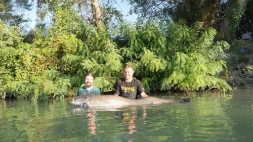 fotogalerie-ffa-00107