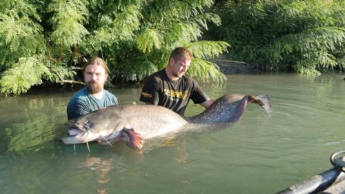 fotogalerie-ffa-00108