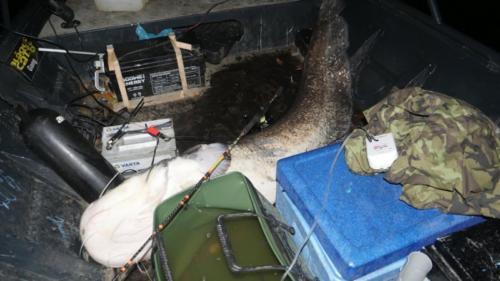 fotogalerie-ffa-00111