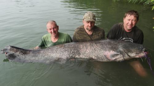 fotogalerie-ffa-00115