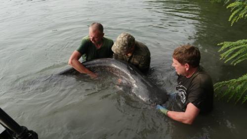 fotogalerie-ffa-00116