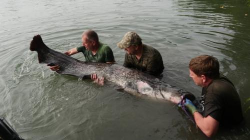 fotogalerie-ffa-00117