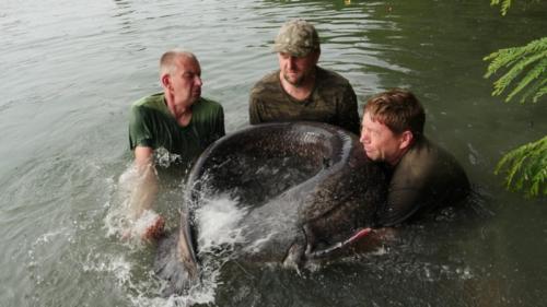 fotogalerie-ffa-00118