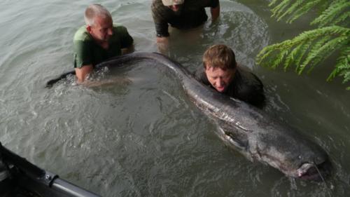 fotogalerie-ffa-00119